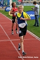 Z155 mg_final